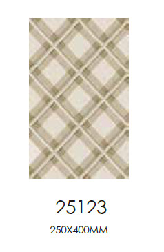 25 x 40