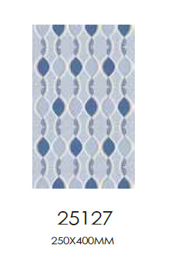 25 x 40