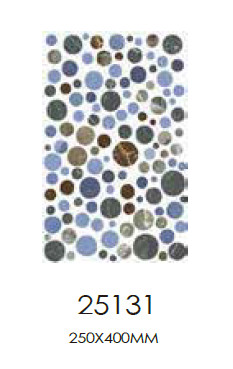 Y25131