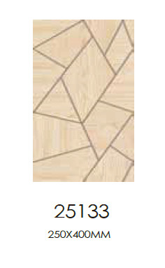 25133