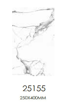 Y25155