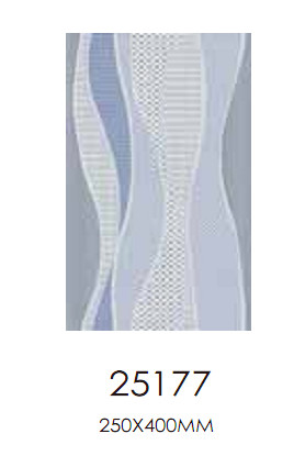 Y25177