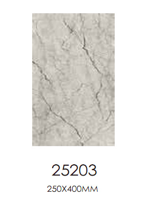 Y25203