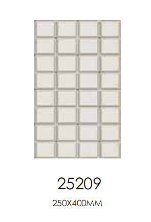 Y25209