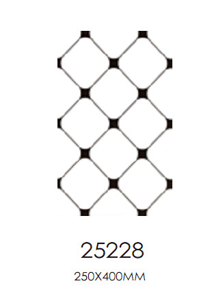 Y25228