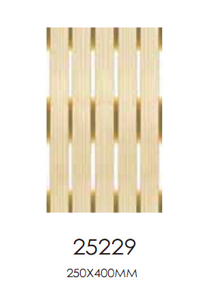 Y25229